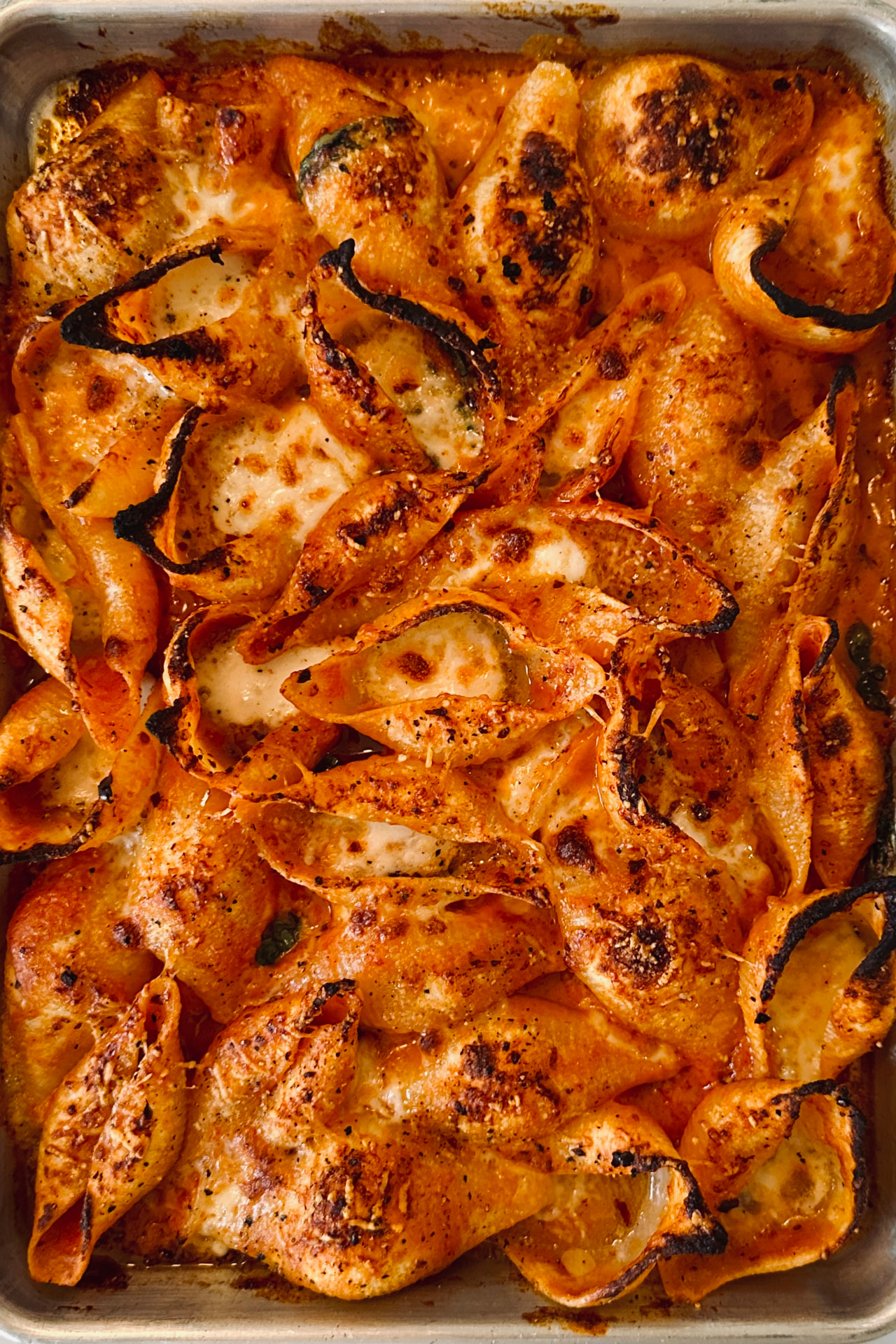 Gratinerad pastaform med conchiglie i tomatsås och ost